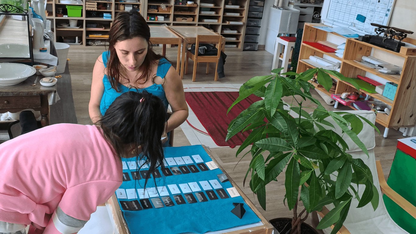 Travail sur les flexions du nom Tri des étiquettes de grammaire Montessori